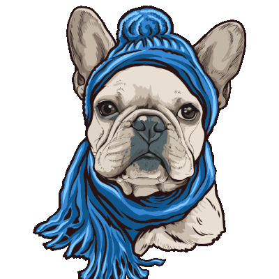 Frenchbulldog with Scarf